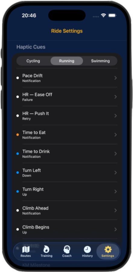 Running haptic cues settings